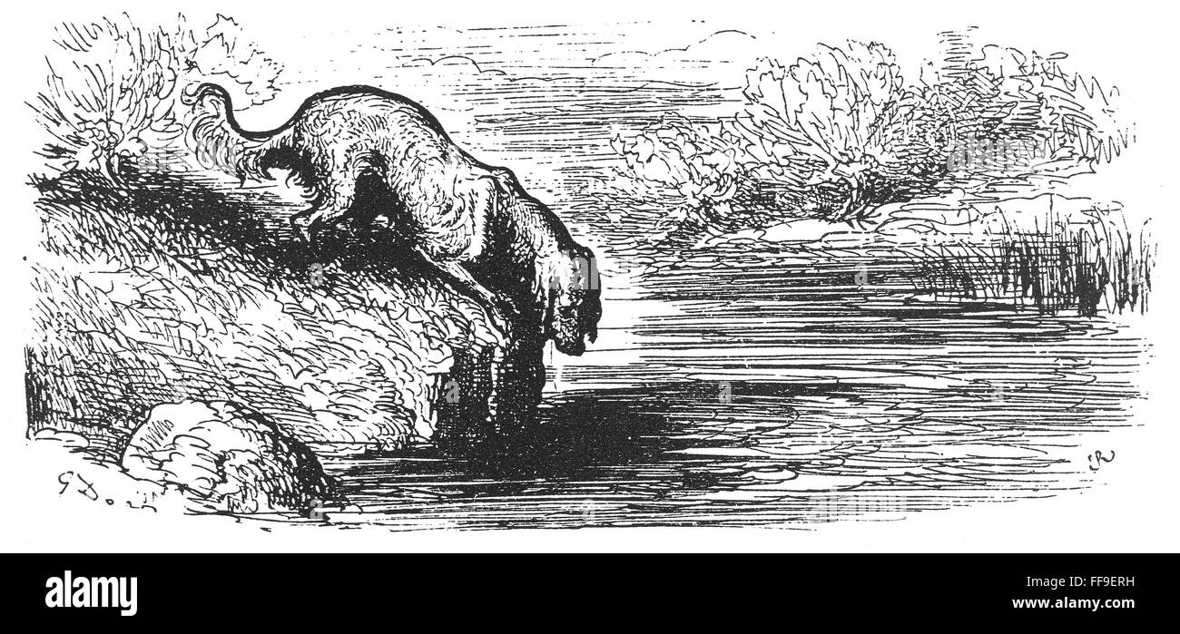 AESOP: DOG & HIS SHADOW. /nDrawing by Gustave DorΘ Stock Photo - Alamy