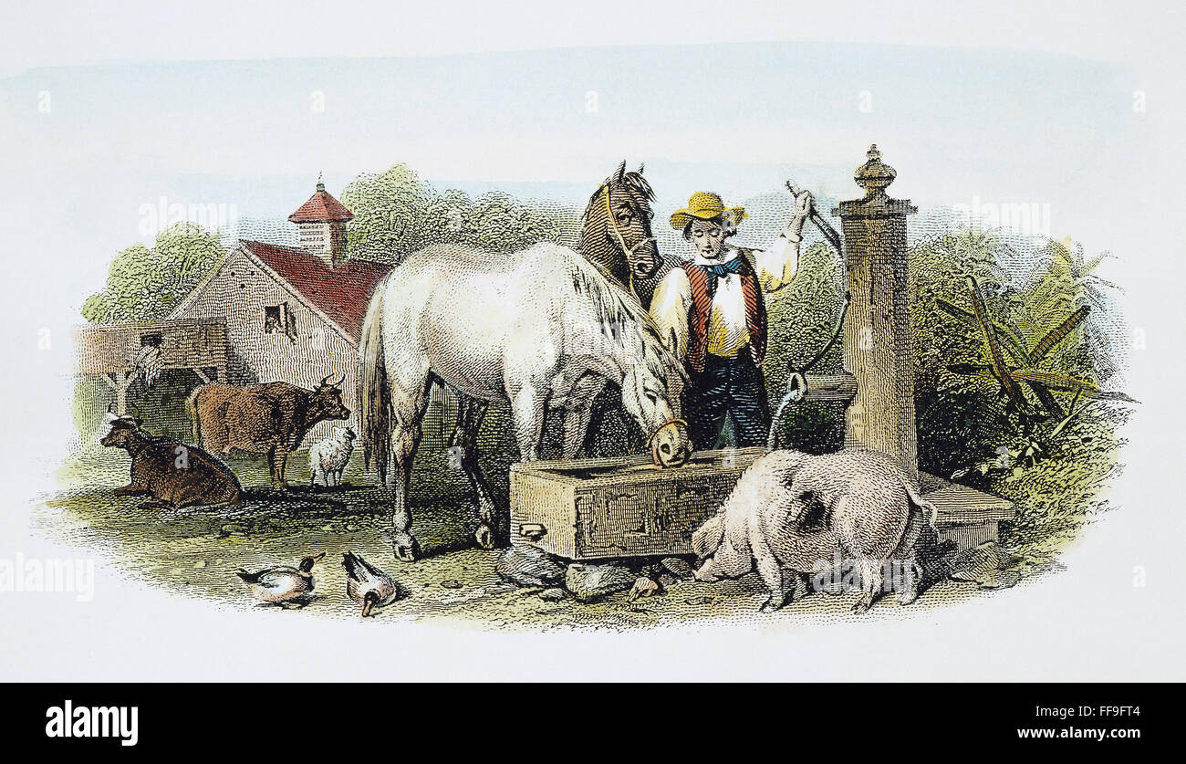 FARMER AT WELL, 1860. /nA 19th-century American farm scene: steel engraving, 1860. Stock Photo