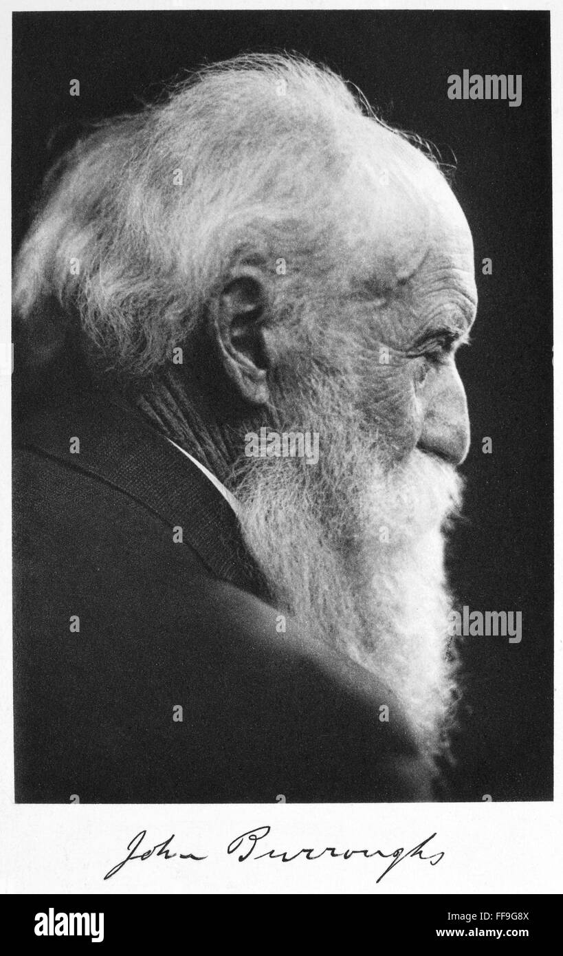 JOHN BURROUGHS (18371921). /nAmerican naturalist Stock Photo Alamy