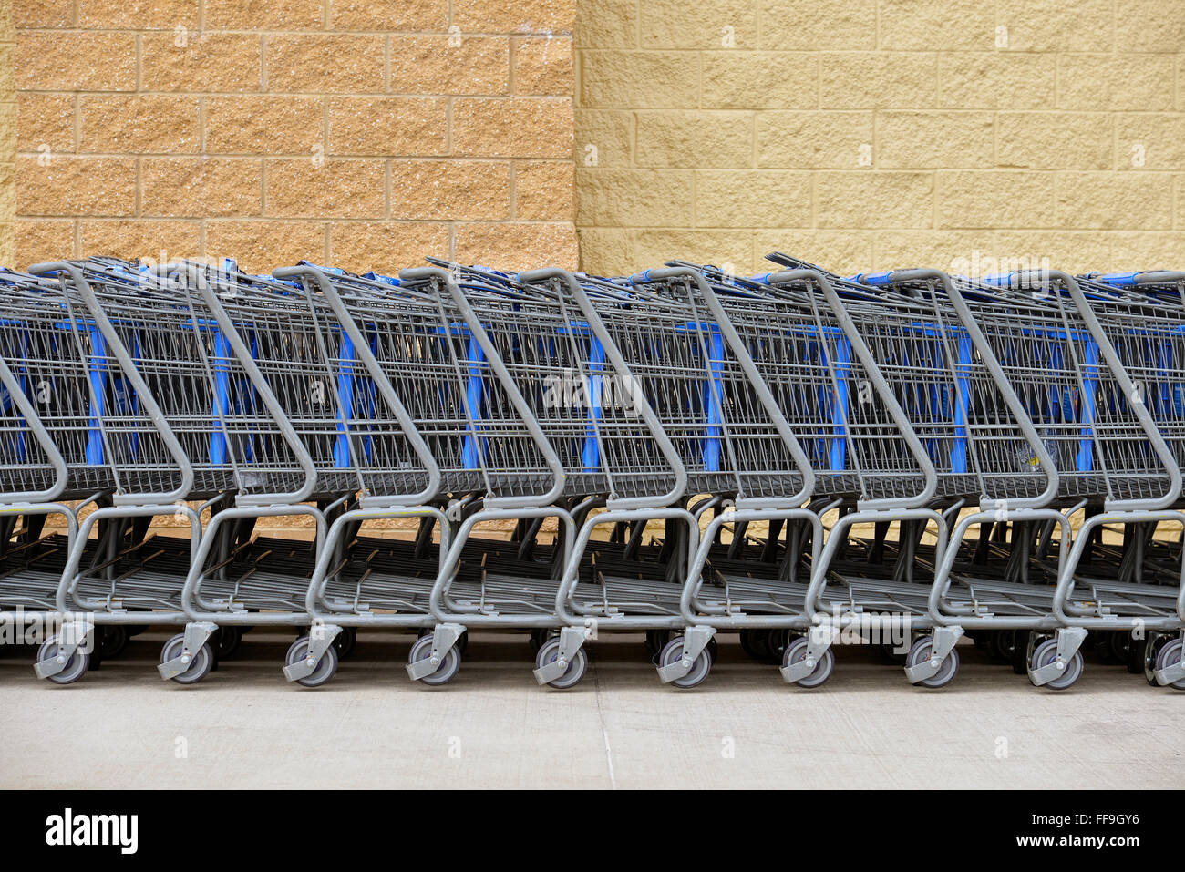Line of grocery carts Stock Photo Alamy