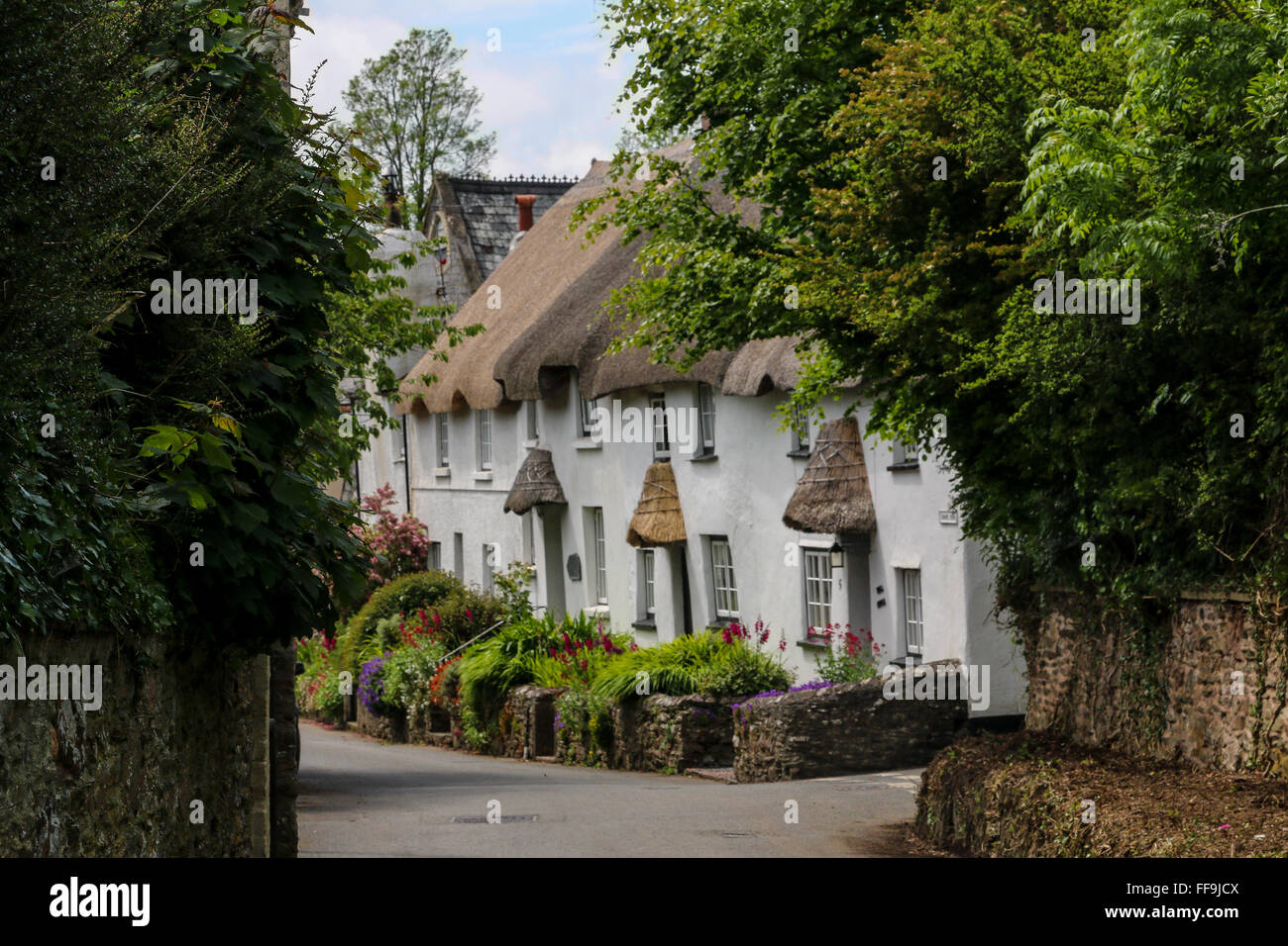 Row of thatch cottages, Kingston, Devon, England, UK Stock Photo Alamy