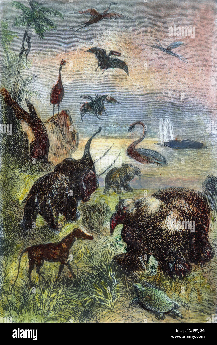 VERNE: JOURNEY. /nA prehistoric world as viewed by Jules Verne in "A Journey to the Center of the Earth": wood engraving after a drawing by Edouard Riou from a 19th century edition. Stock Photo