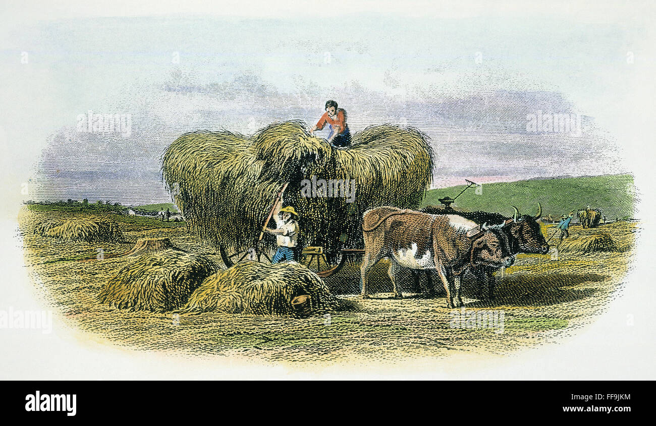 19th CENTURY AMERICAN FARM. /nSteel engraving, c1870. Stock Photo