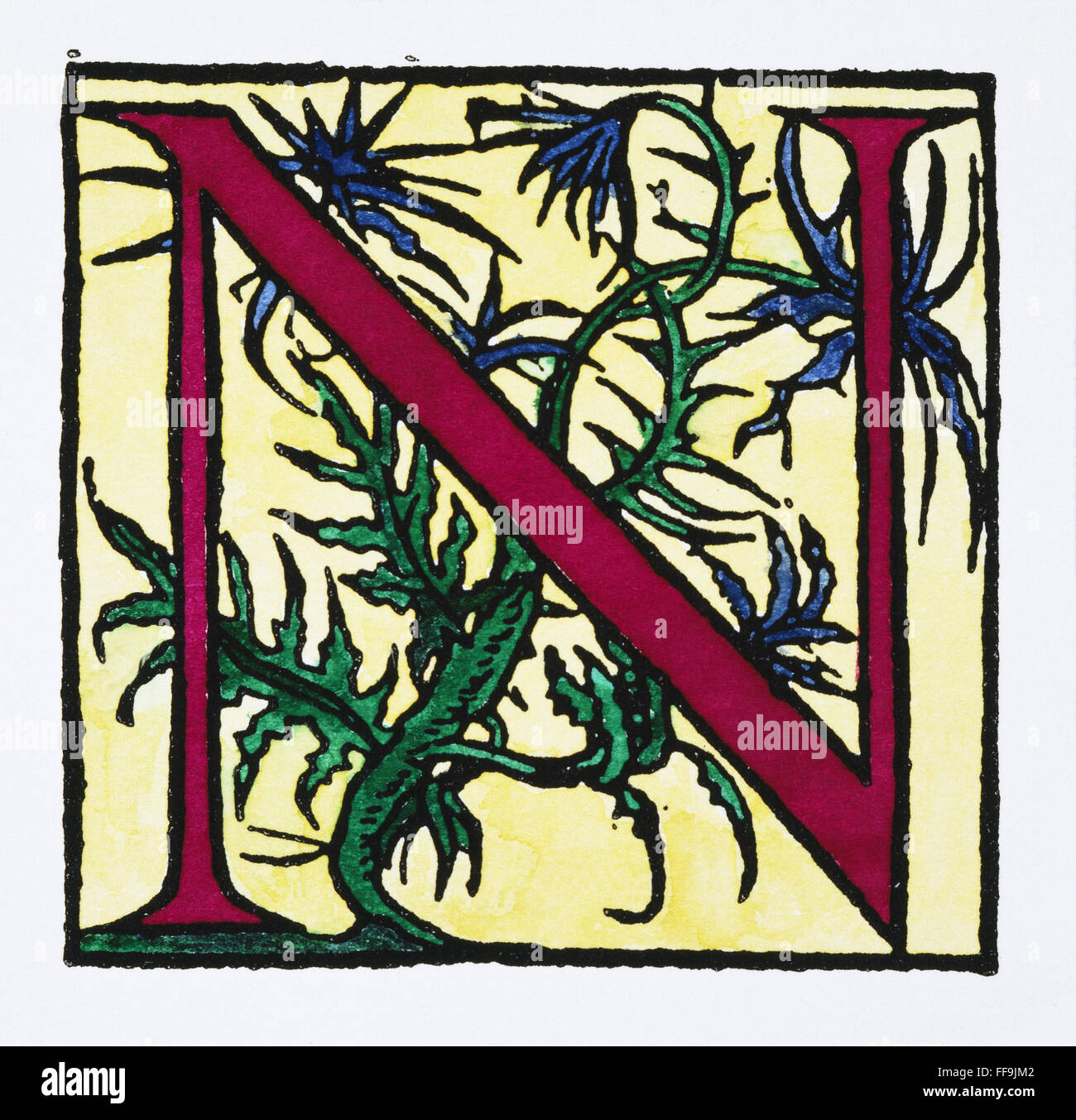 INITIAL 'N', 1544. /nA decorative initial 'N' with thistle design. French wooduct, 1544, by Denys Janot. Stock Photo
