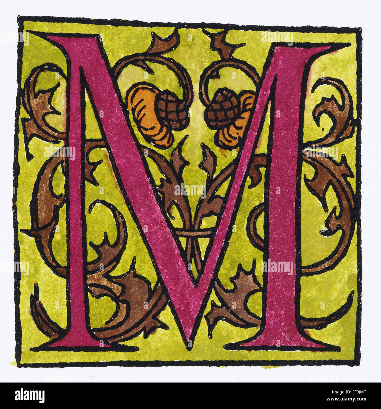 INITIAL 'M', 1544. /nA decorative initial 'M' with thistle design. French woodcut, 1544, by Denys Janot. Stock Photo