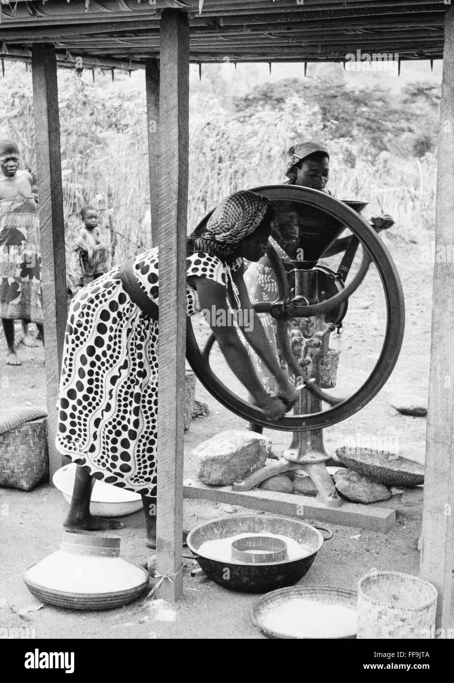 AFRICA CORN MILL, 1956. /nWomen working a corn mill at Kimar village