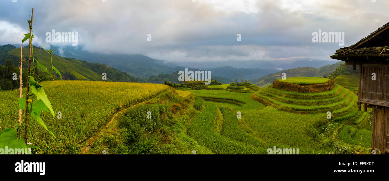 Dragon Backbone Rice Terraces panoramic. Guilin. China Stock Photo