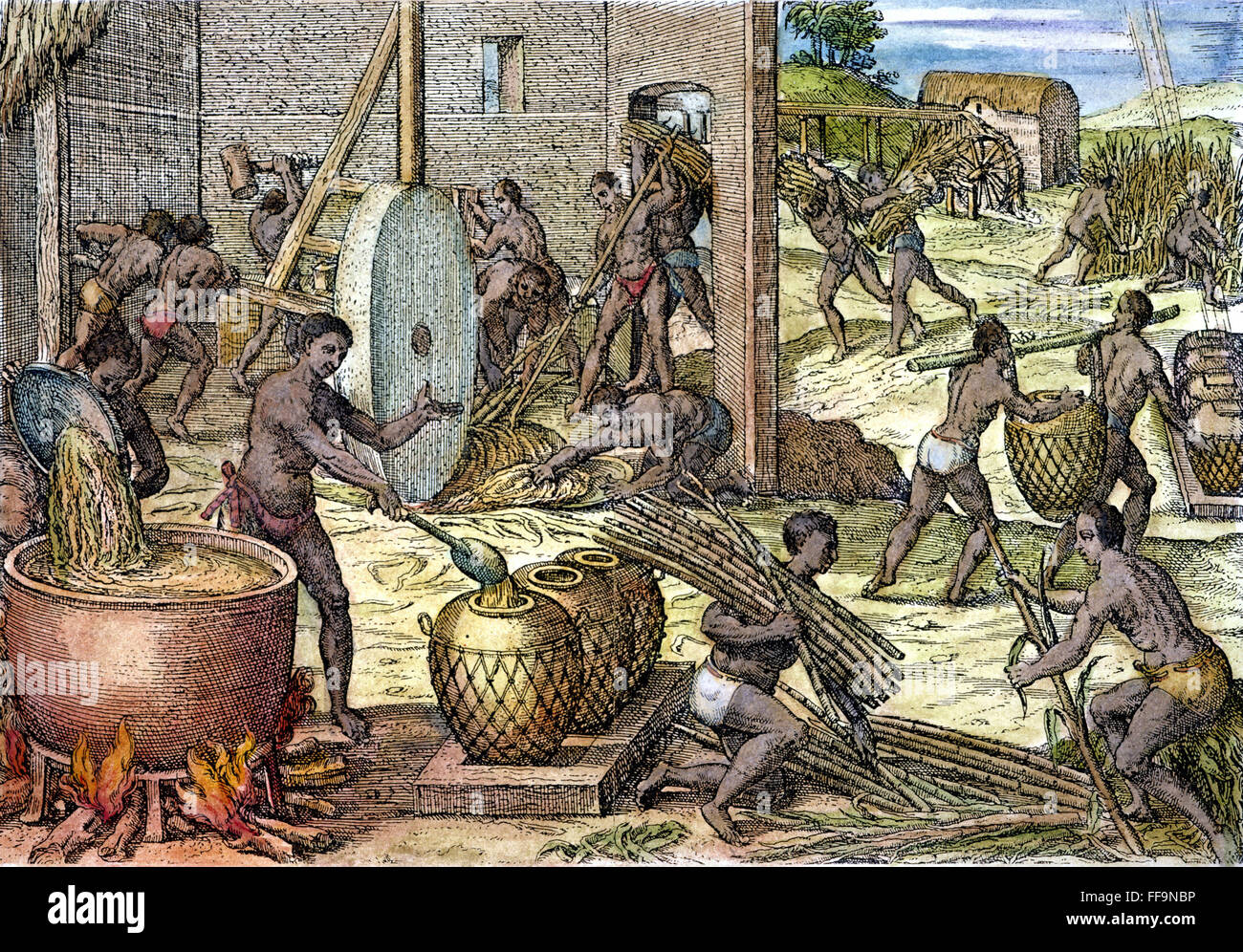 SLAVERY WEST INDIES. /nAfrican slaves working on a sugar plantation