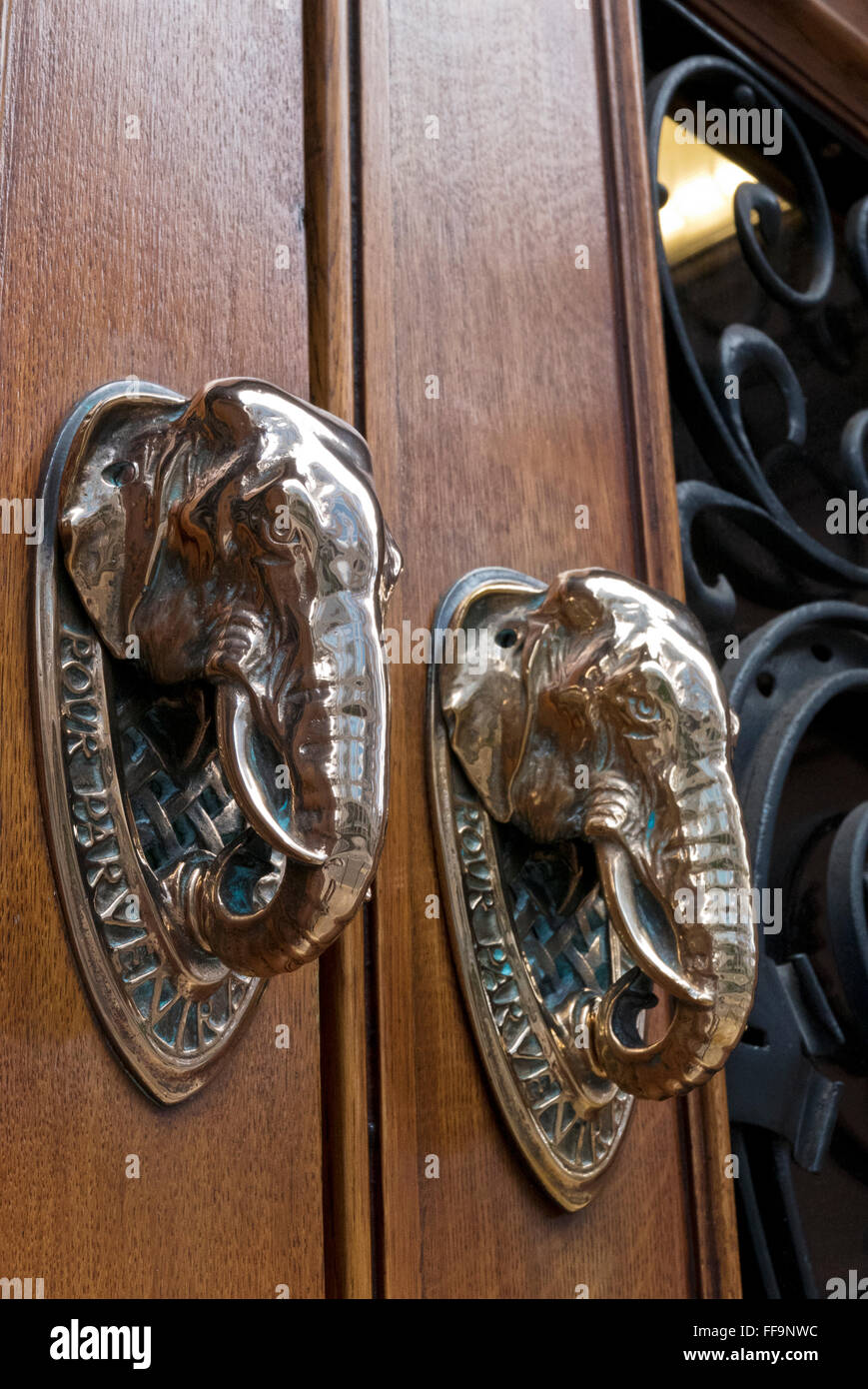 Two Elephants Door Handles Outside The Worshipful Company Of