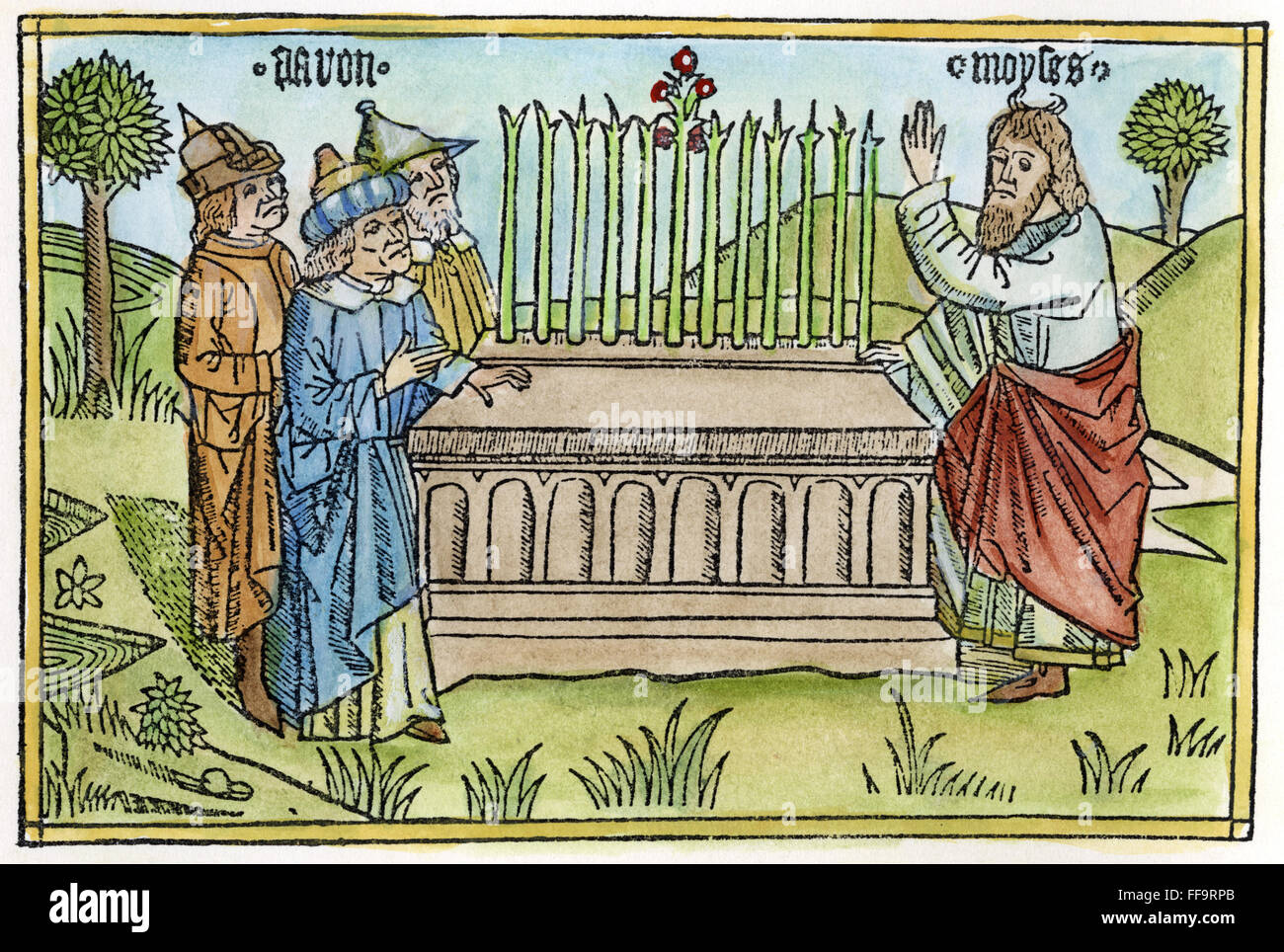 Aarons rod almond hires stock photography and images Alamy