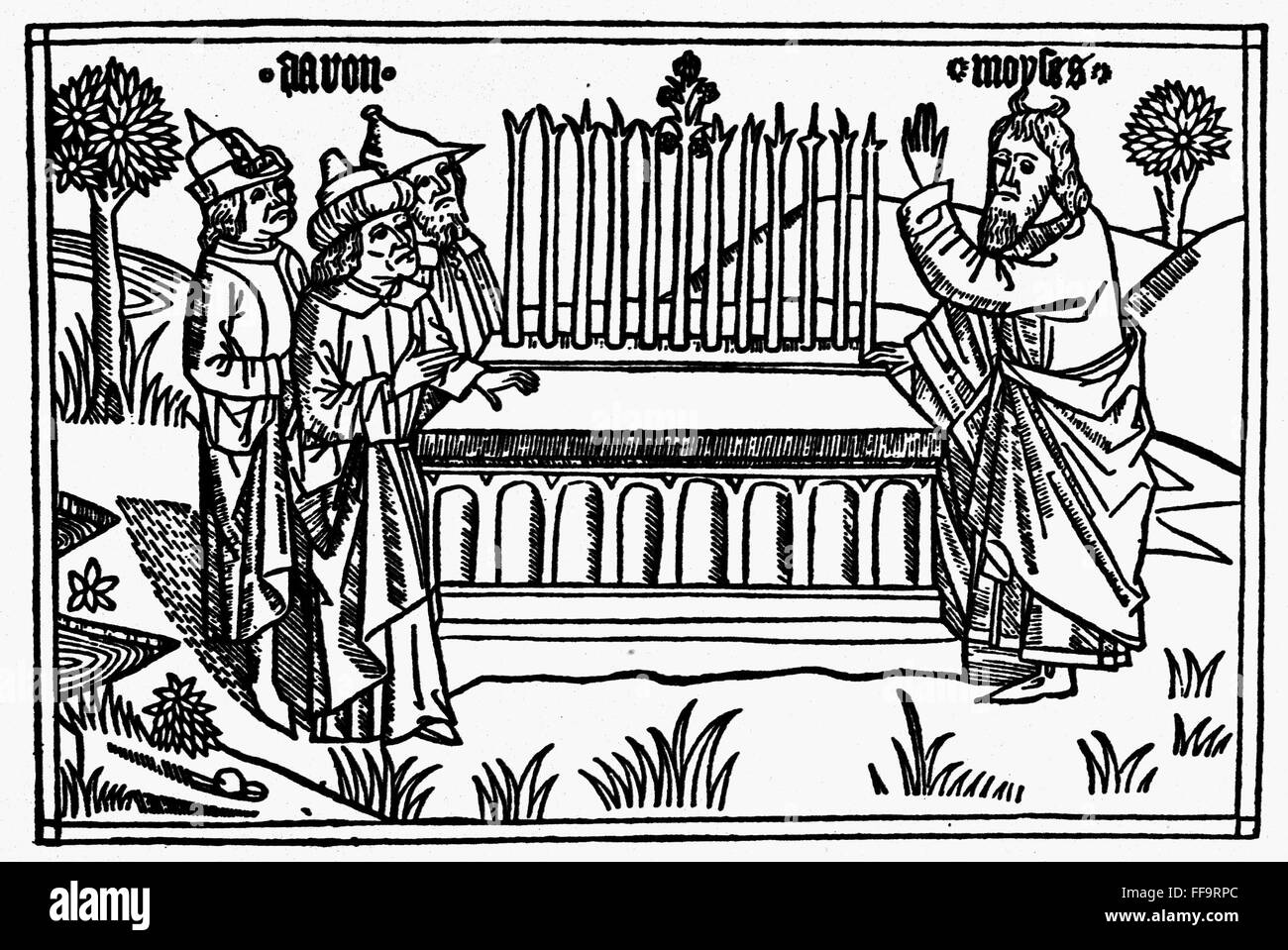 Aarons rod almond hires stock photography and images Alamy