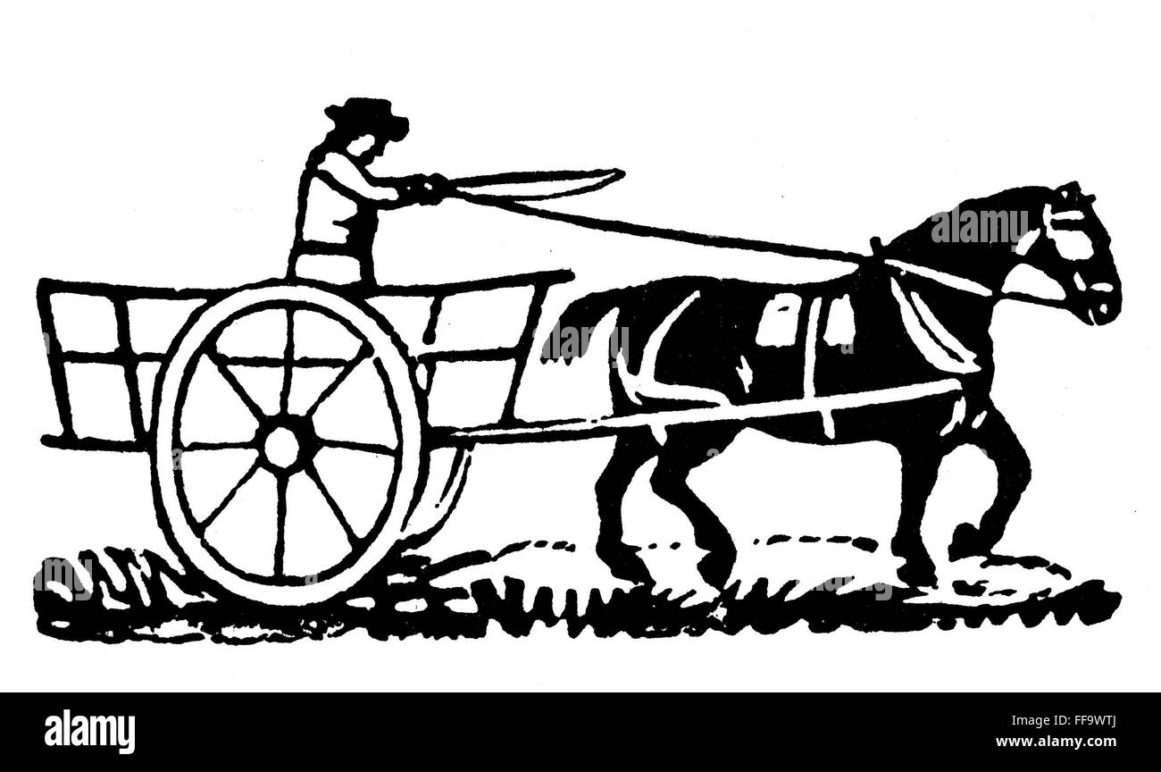 HORSE & CART, 19th CENTURY. /nAmerican printer's cut, mid19th century