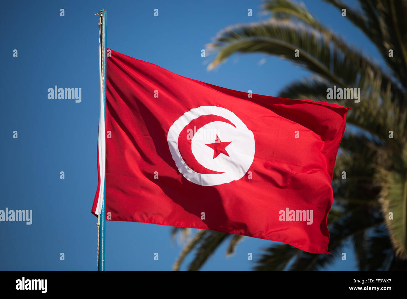 A Tunisian flag floating in the wind, on a blue sky with a palm tree in the background. Stock Photo