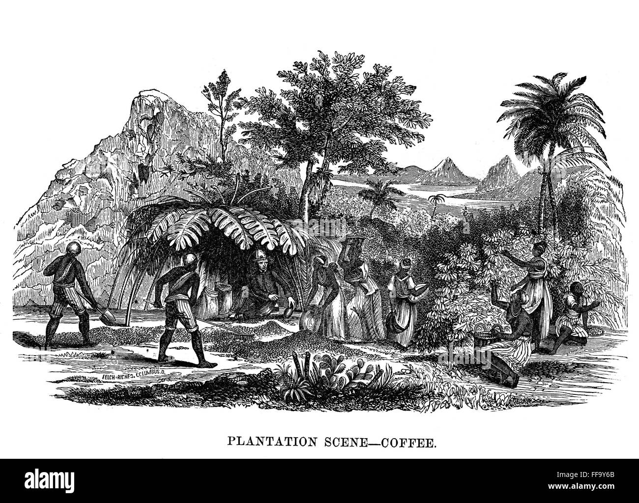 SLAVERY BRAZIL, 1857. /nBlack slaves on a coffee plantation in the