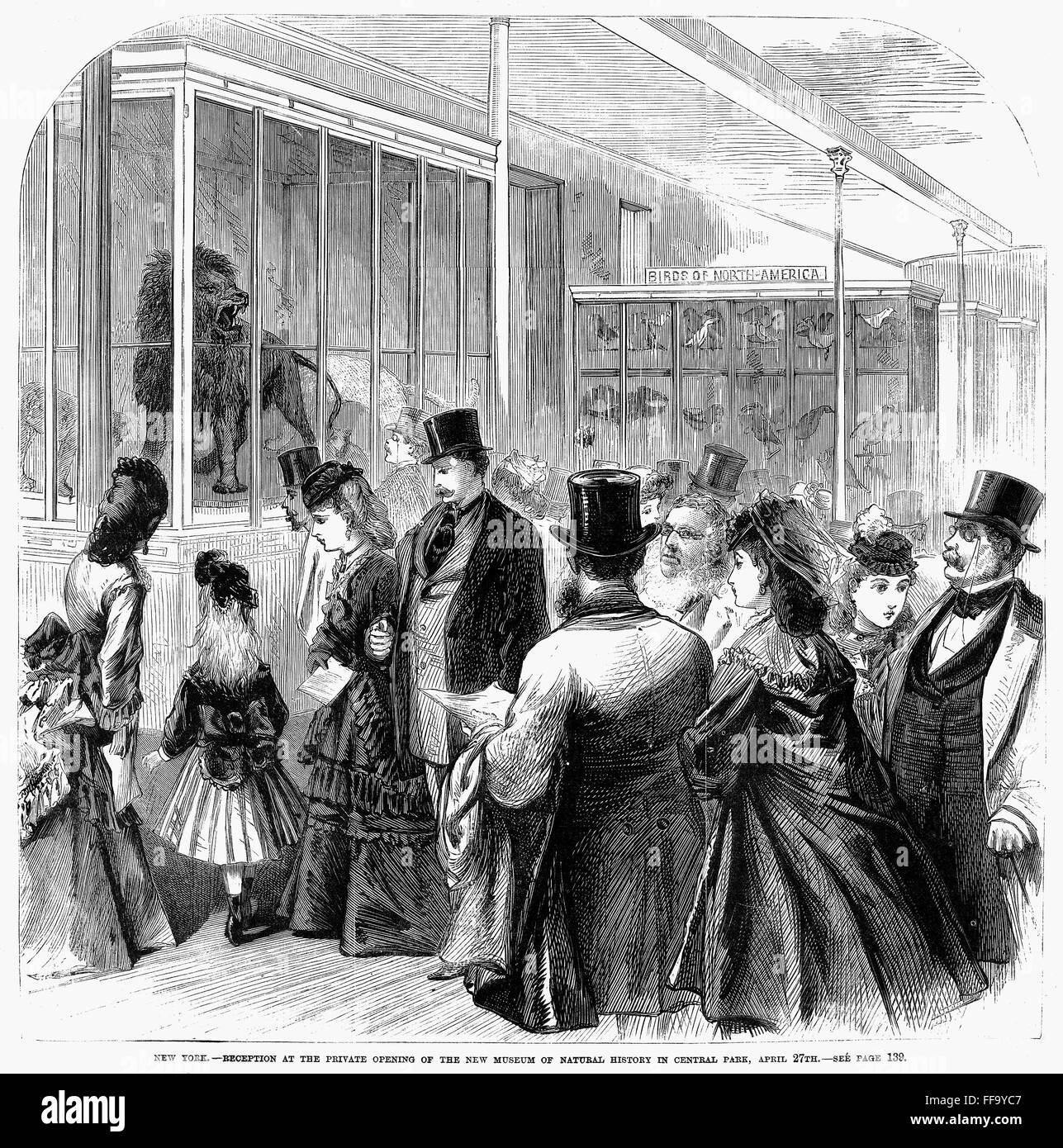 MUSEUM OF NATURAL HISTORY. /nThe opening of the American Museum of Natural History in its temporary Central Park quarters in 1871. Contemporary wood engraving. Stock Photo