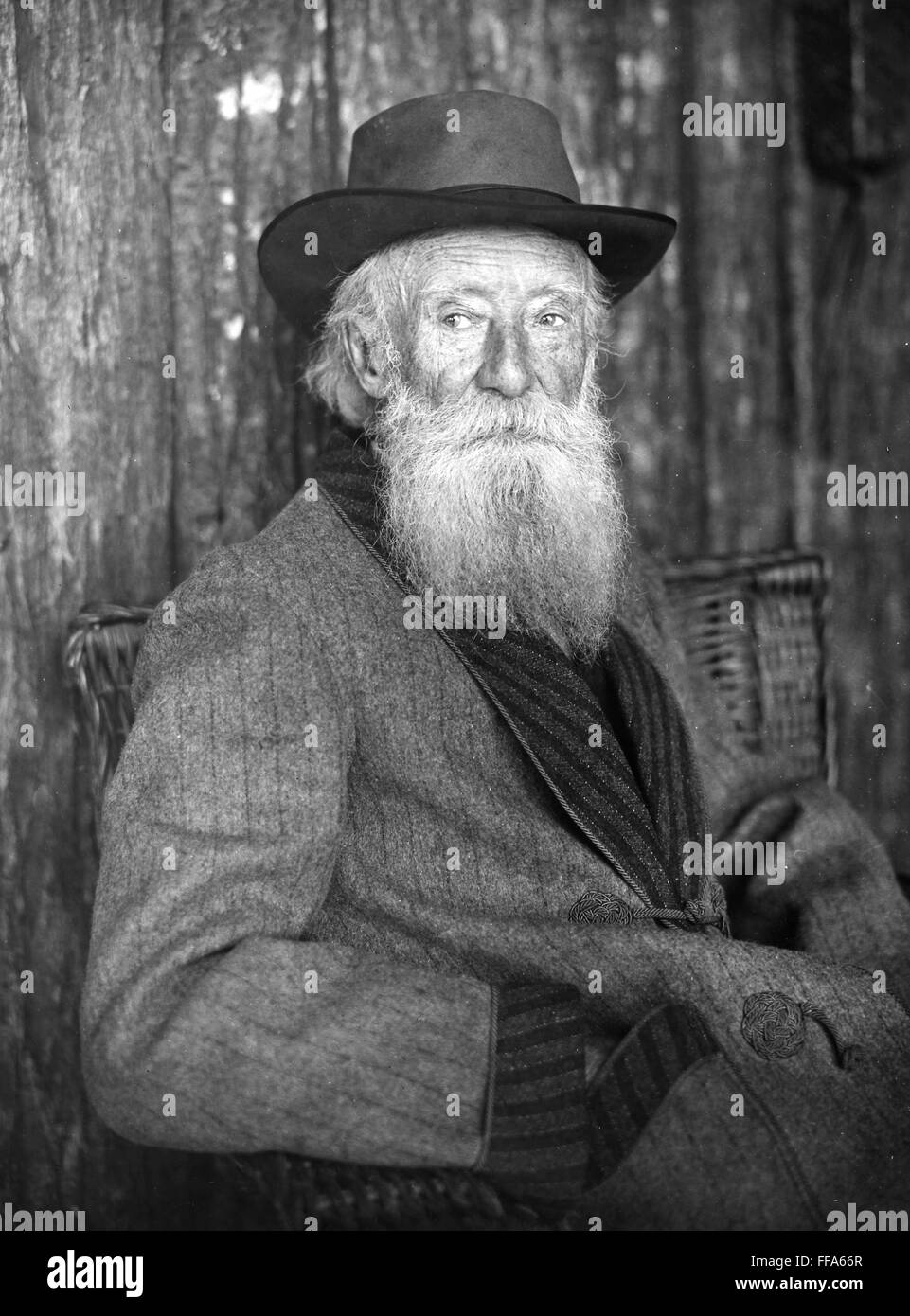 JOHN BURROUGHS (18371921). /nAmerican naturalist Stock Photo Alamy