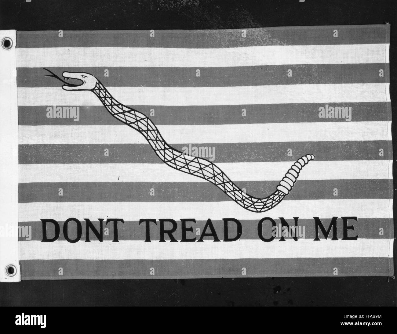 FLAGS: DON'T TREAD ON ME. /nAmerican flag, First Navy Jack, 1775. Stock Photo