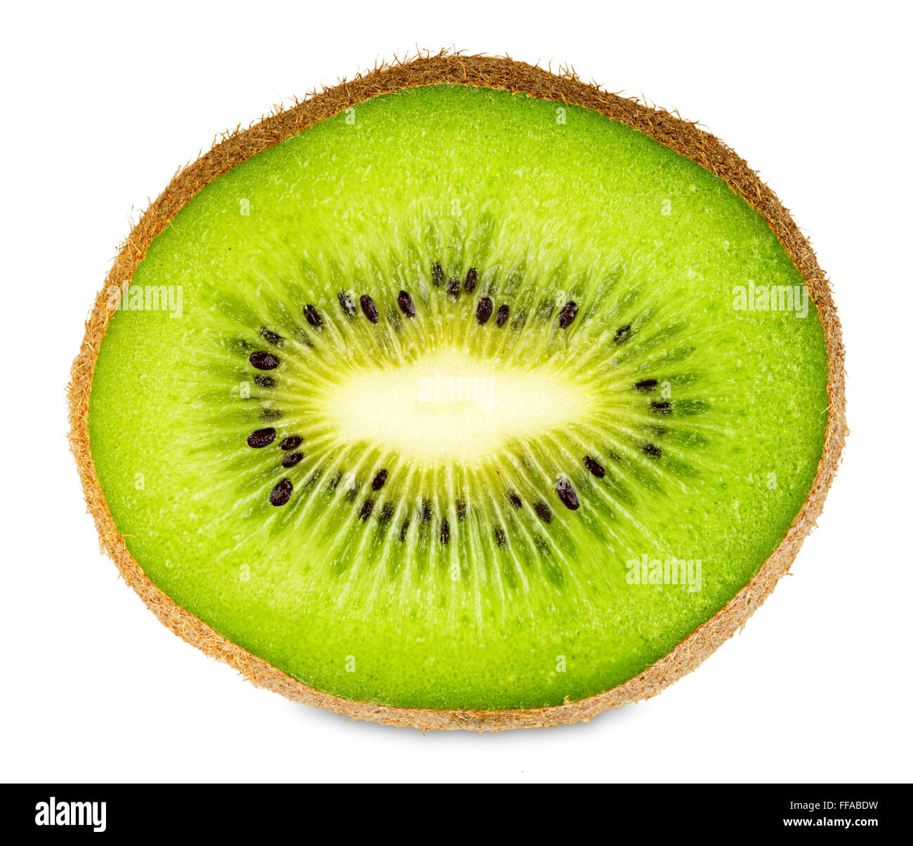 kiwi fruit slice isolated on white background, Stock Photo
