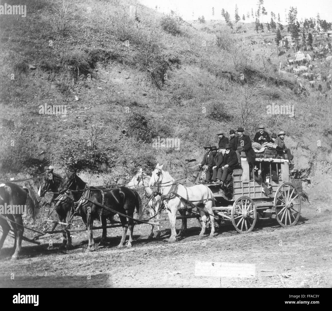 THE DEADWOOD STAGECOACH. /nSouth Dakota, 1890 Stock Photo - Alamy