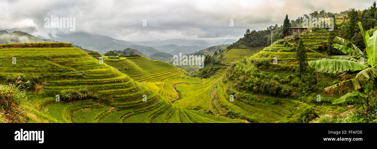 Dragon Backbone Rice Terraces. Guilin. China Stock Photo