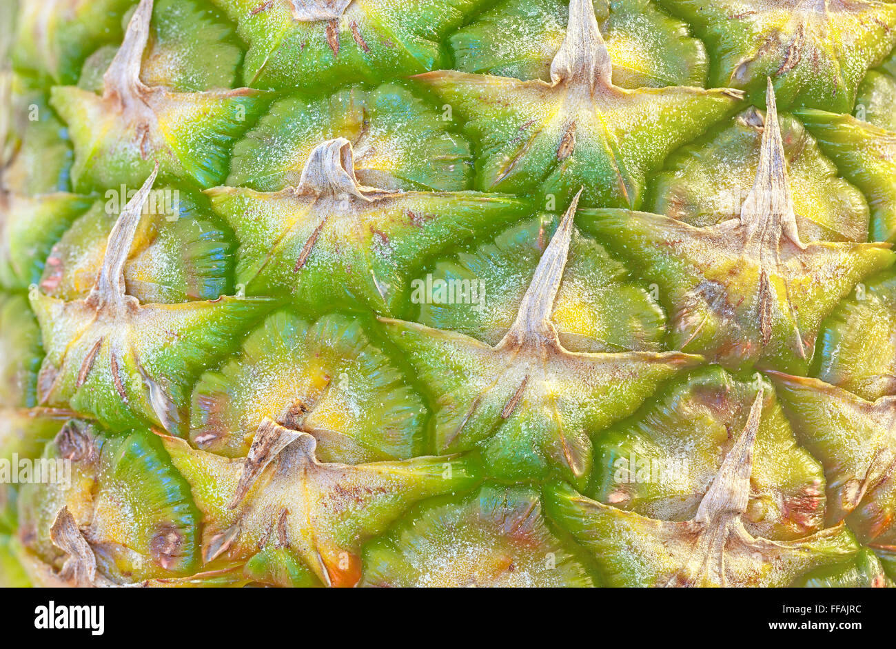Close up picture of a fresh pineapple skin. Stock Photo