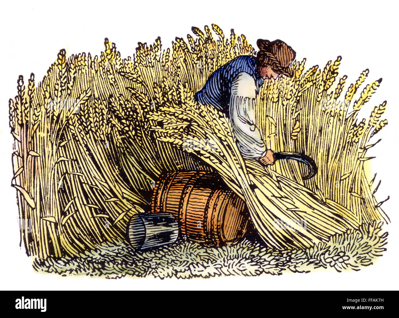 FARMING: HARVESTING, c1800. /nReaping with a sickle: wood engraving, English, c1800. Stock Photo