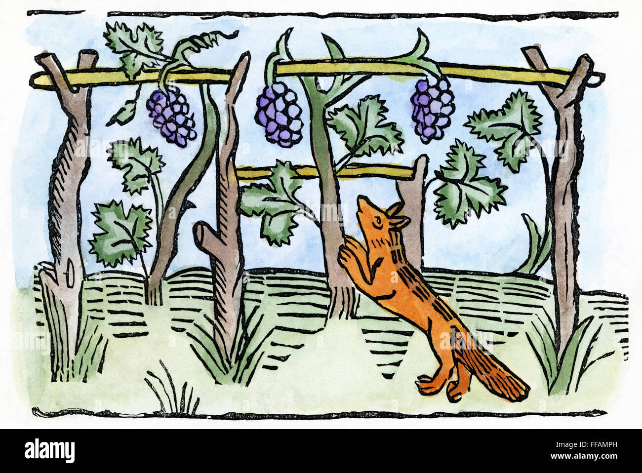 AESOP: THE FOX & THE GRAPES. /nWoodcut from William Caxton's 'Aesop', 1484. Stock Photo