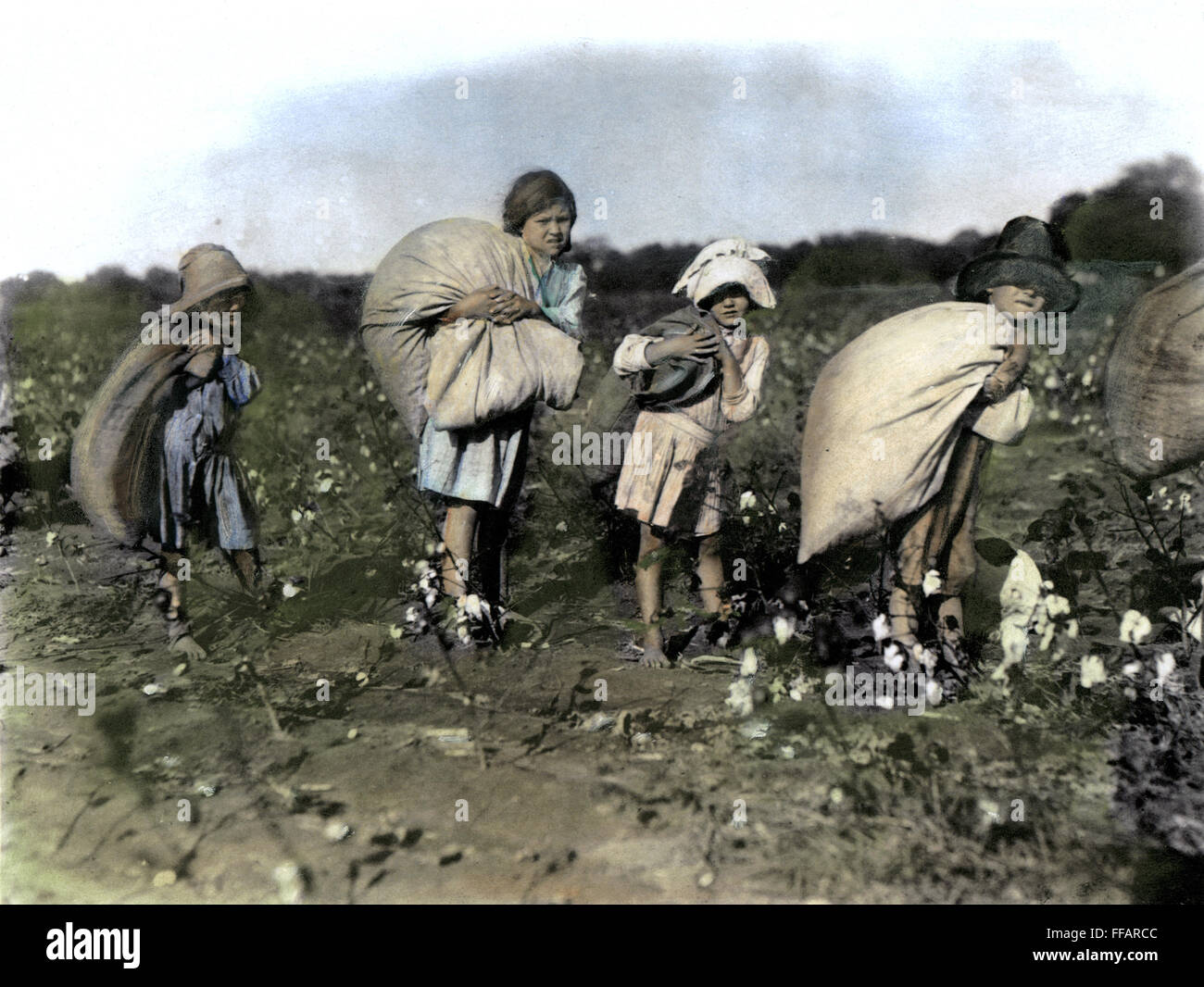 CHILD LABOR, c1910. /nA group of young cotton pickers in the American South. Oil over a photograph, c1910, by Lewis Hine. Stock Photo