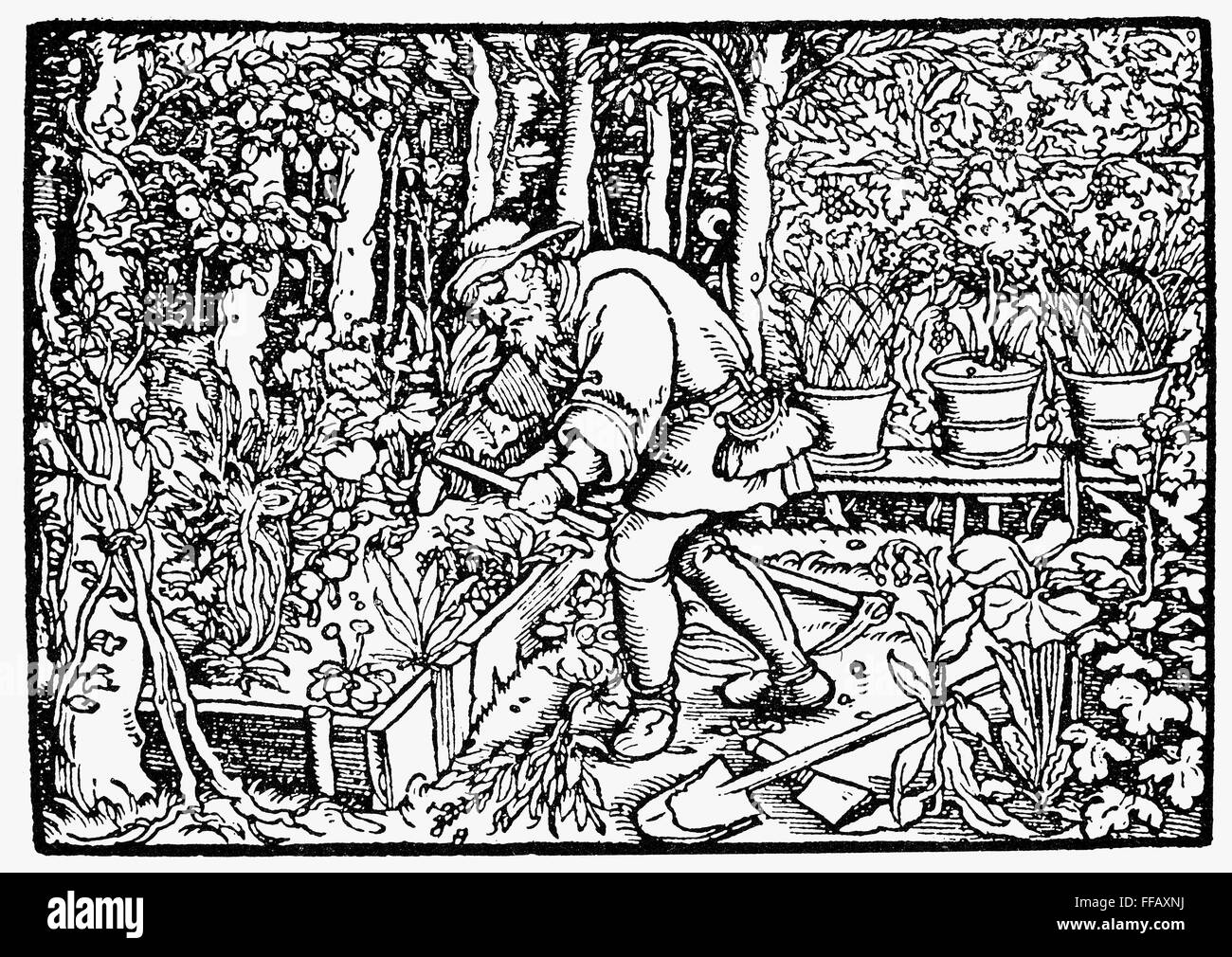 The Wife And The Black Gardeners 3