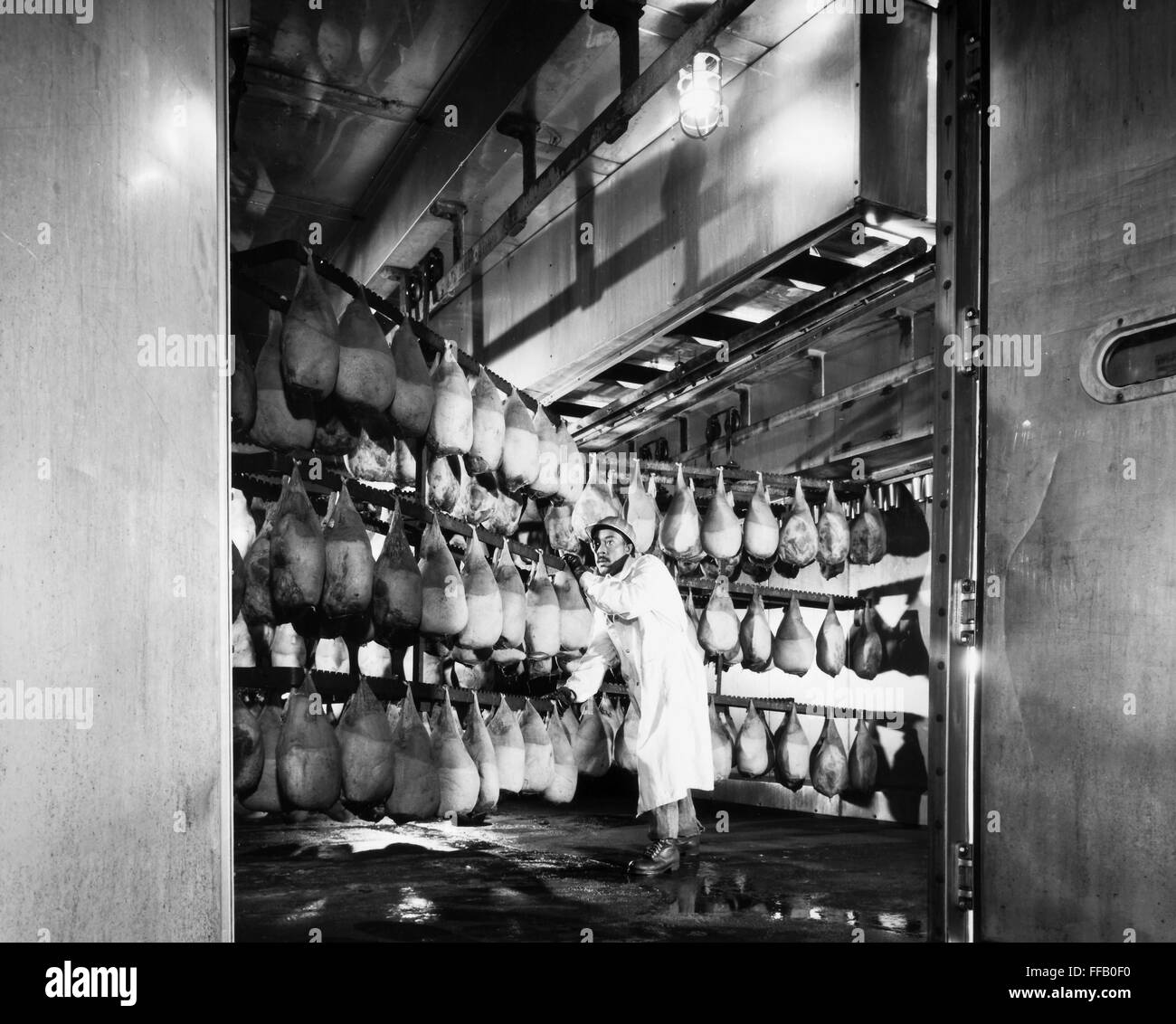 MEAT PACKING, 20th CENTURY. /nA meat packer pushing ham trees into a