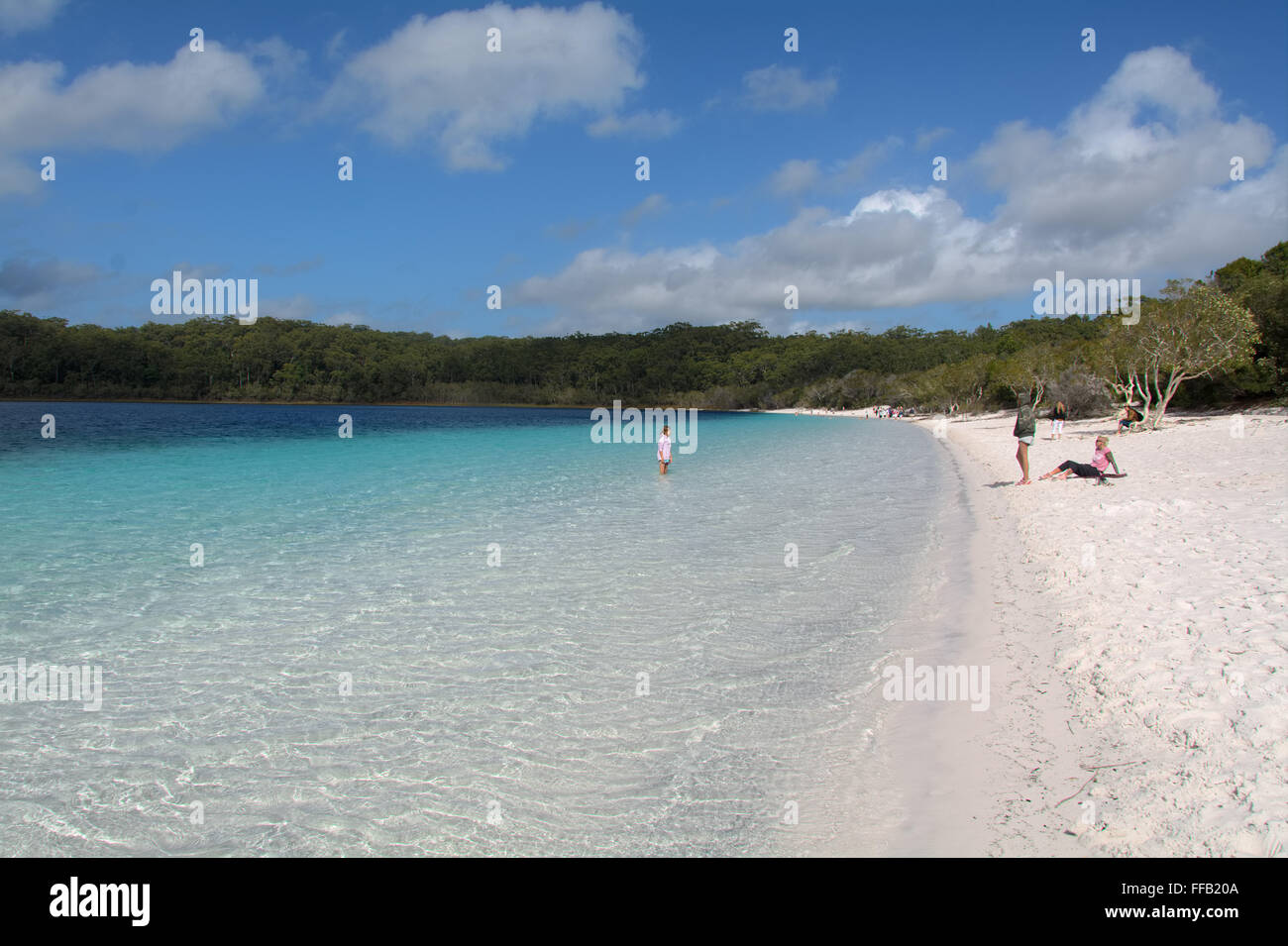Lake McKenzie with white sandy beach, clear water and blue sky with white puffy clouds on Fraser Island, Queensland Stock Photo