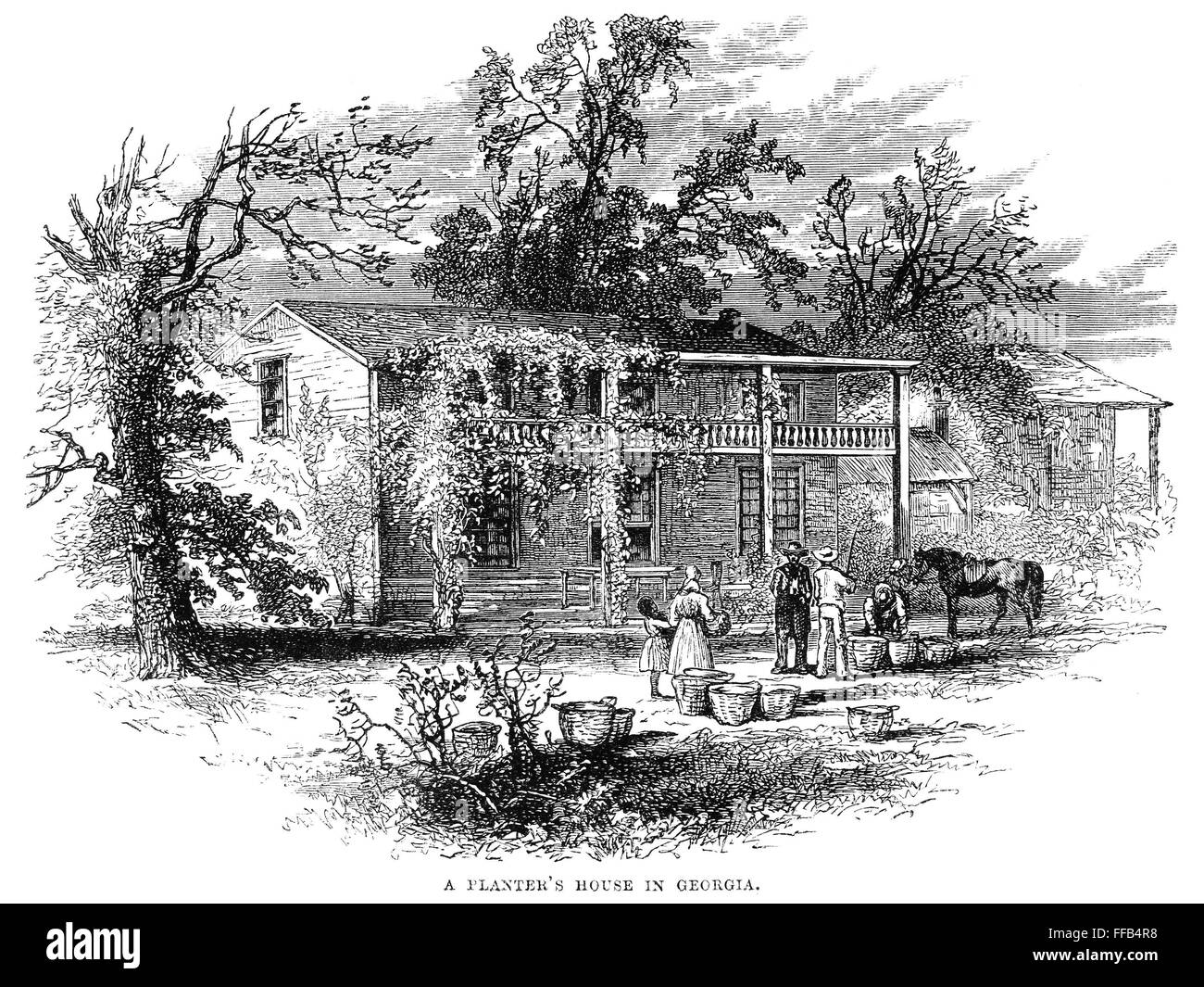 PLANTER'S HOUSE. /nScene of a plantation. Wood engraving