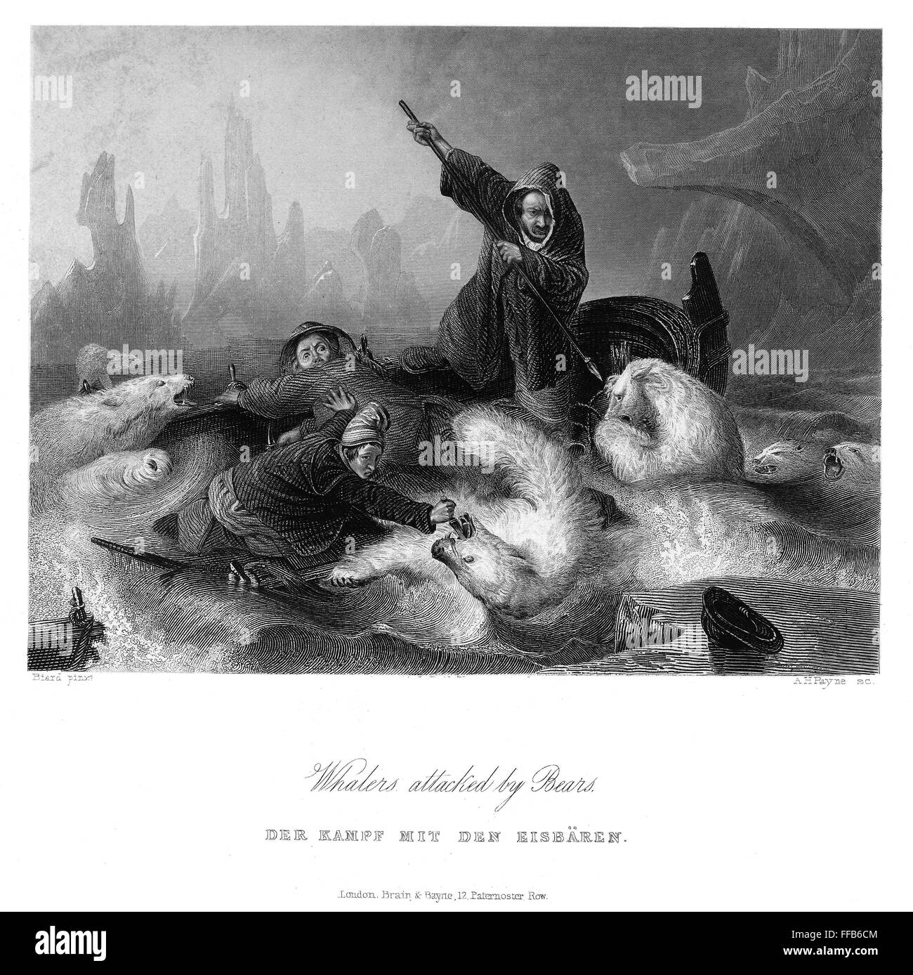 POLAR BEAR ATTACK. /nWhalers attacked by polar bears. Steel engraving, English, c1840, after a painting by Franτois Auguste Biard. Stock Photo