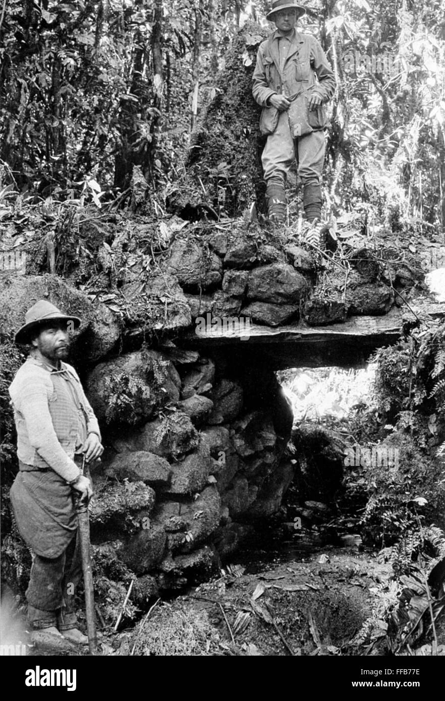 HIRAM BINGHAM (1875-1956). /nAmerican explorer, teacher, and politician ...