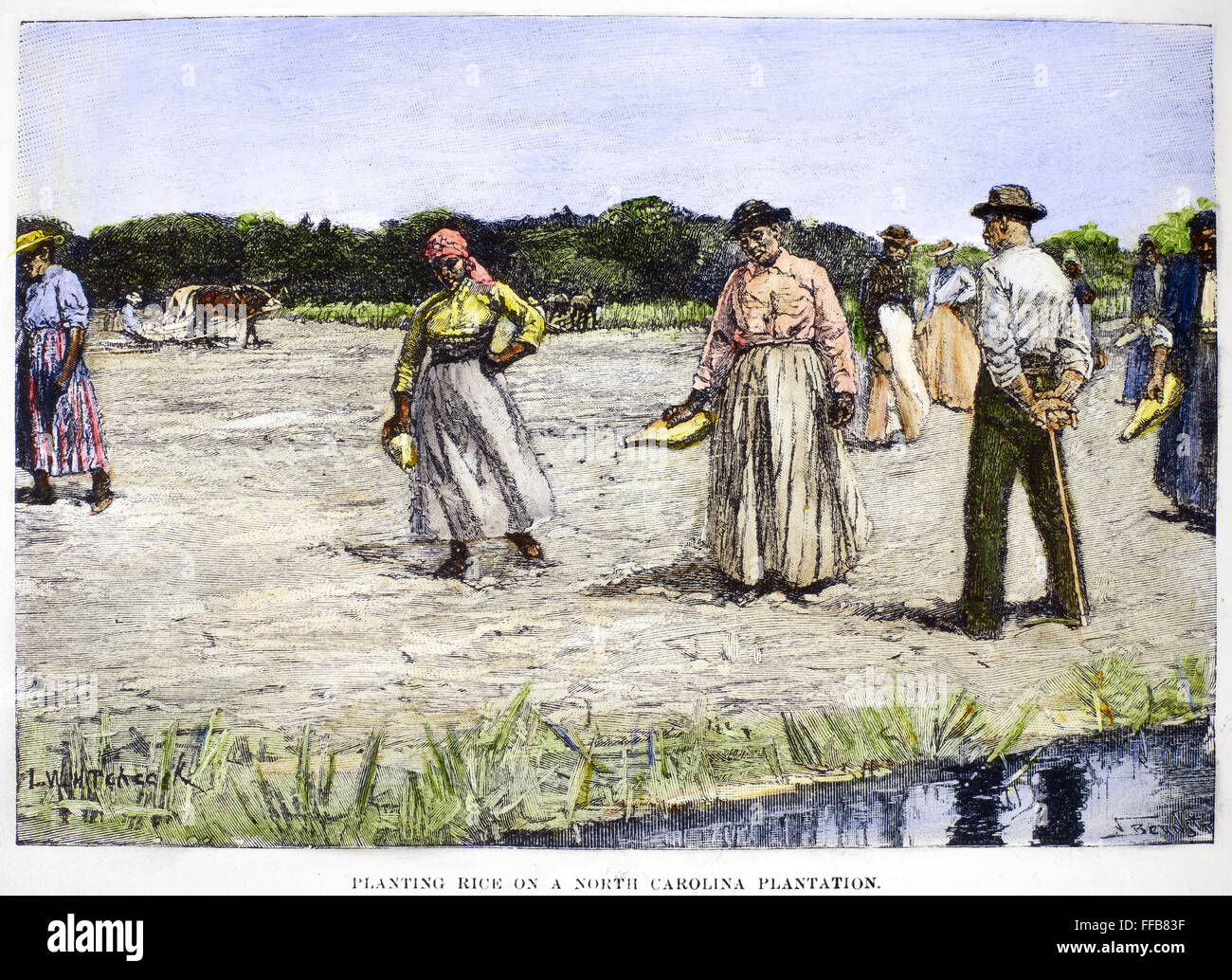 SLAVERY: RICE PLANTATION. /nSlaves planting rice on a plantation in ...