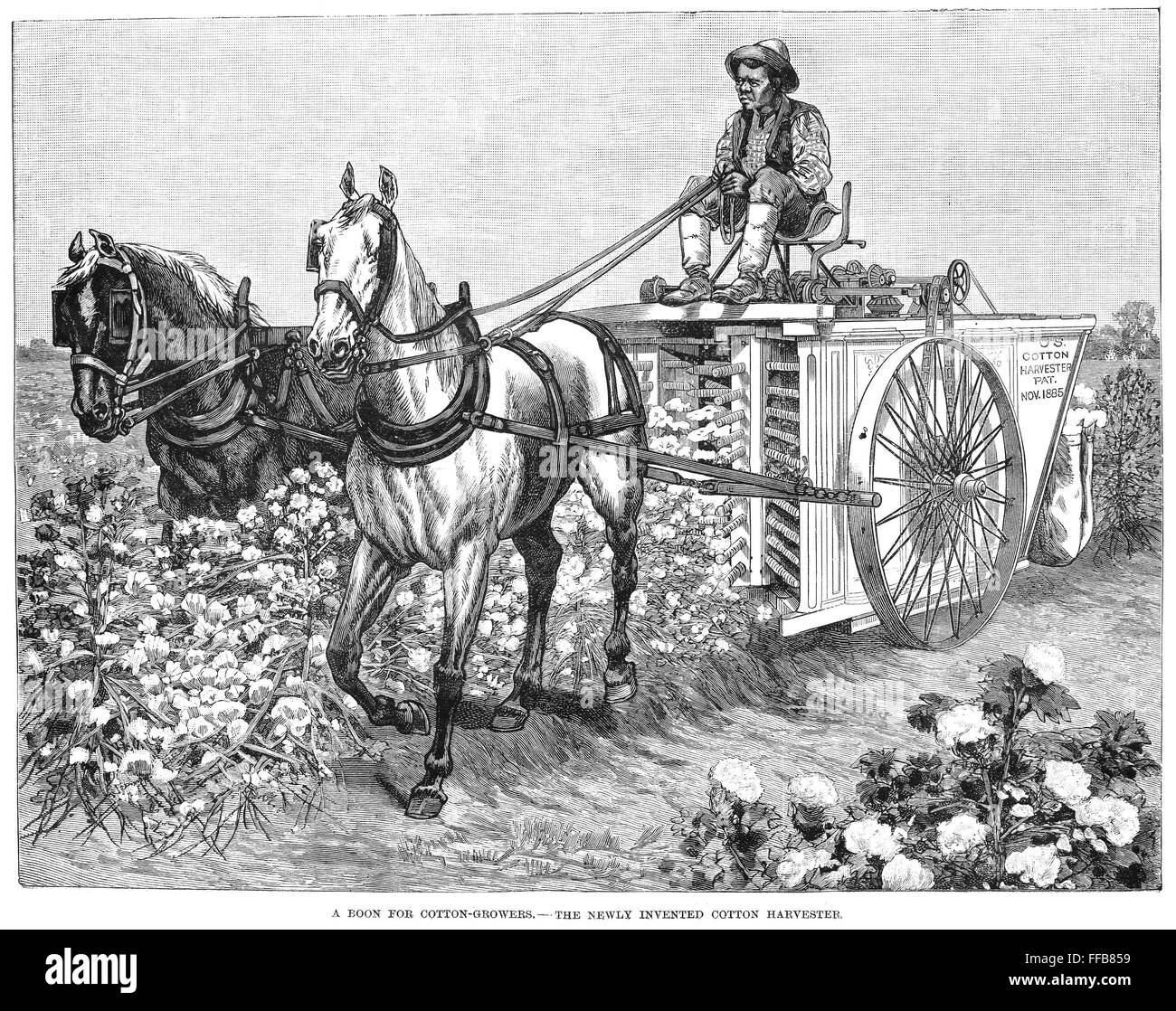 COTTON HARVESTER, 1886. /nA field hand in the American South harvesting