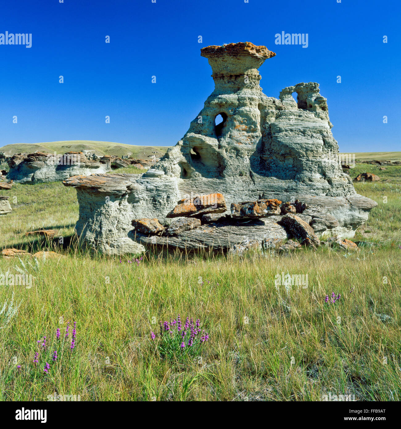 sandstone hoodoo on the prairie near cut bank, montana Stock Photo Alamy