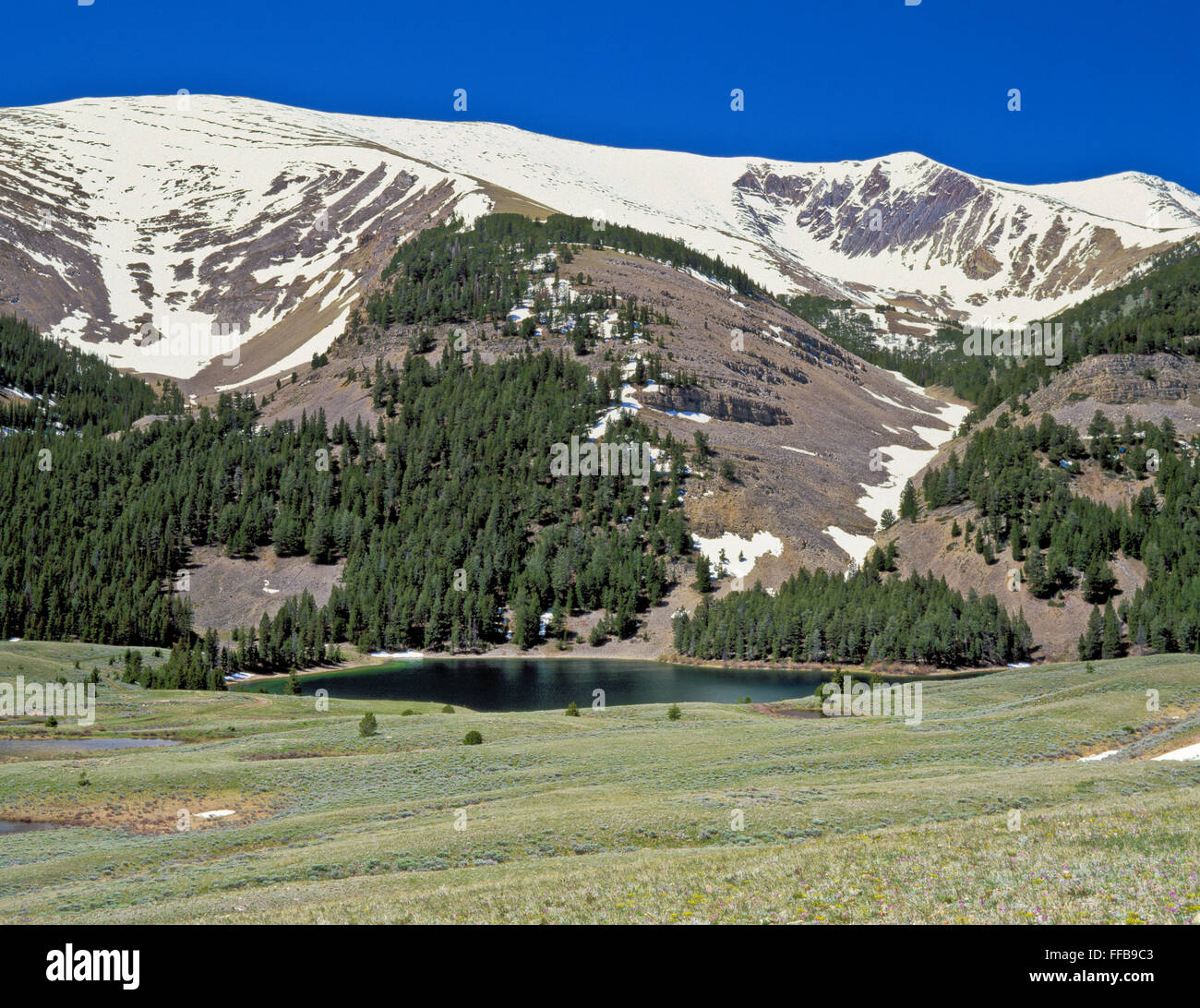 morrison lake below the beaverhead mountains near dell, montana Stock