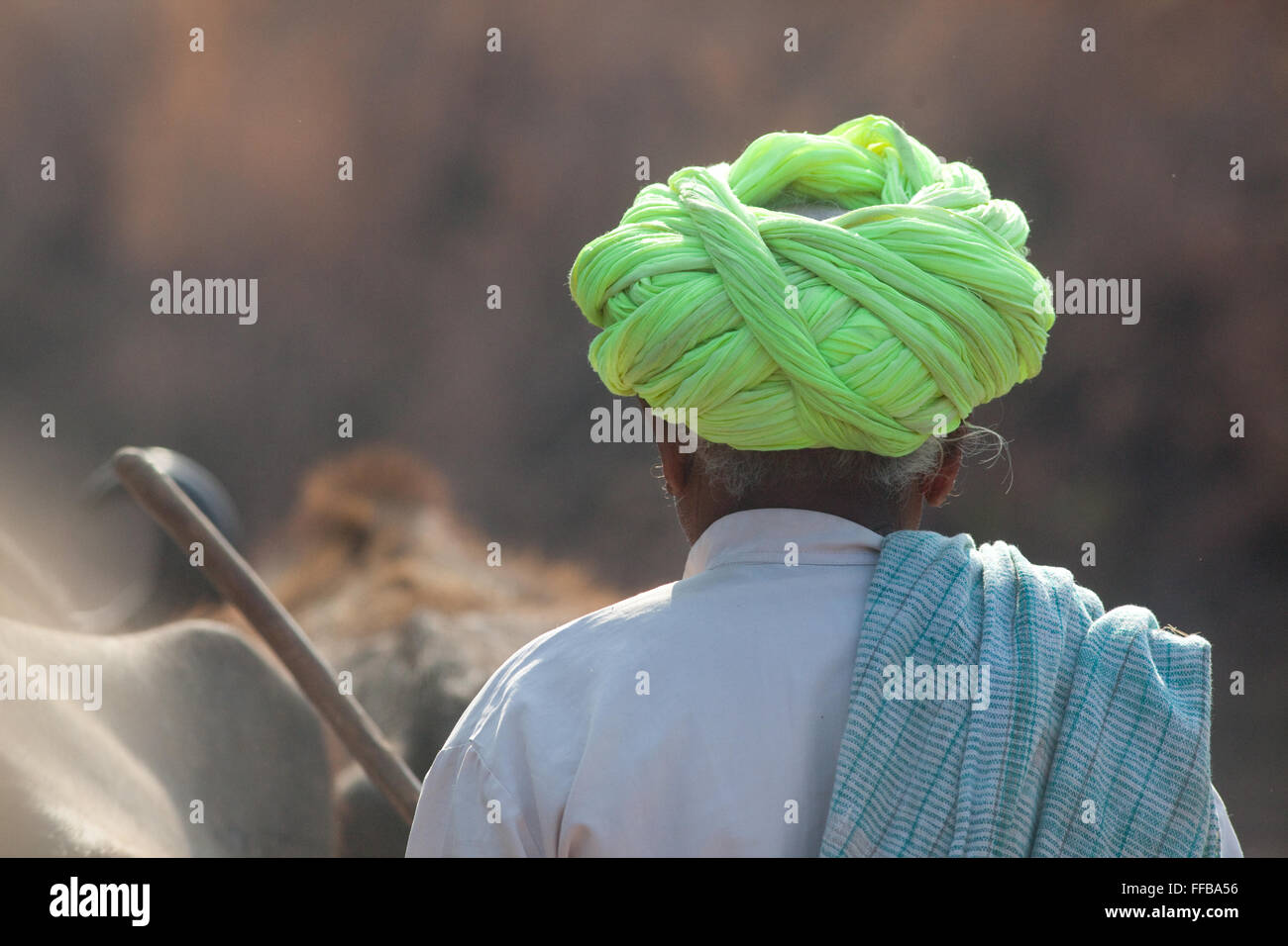 Cattle Herder, Ranthambore, India Stock Photo