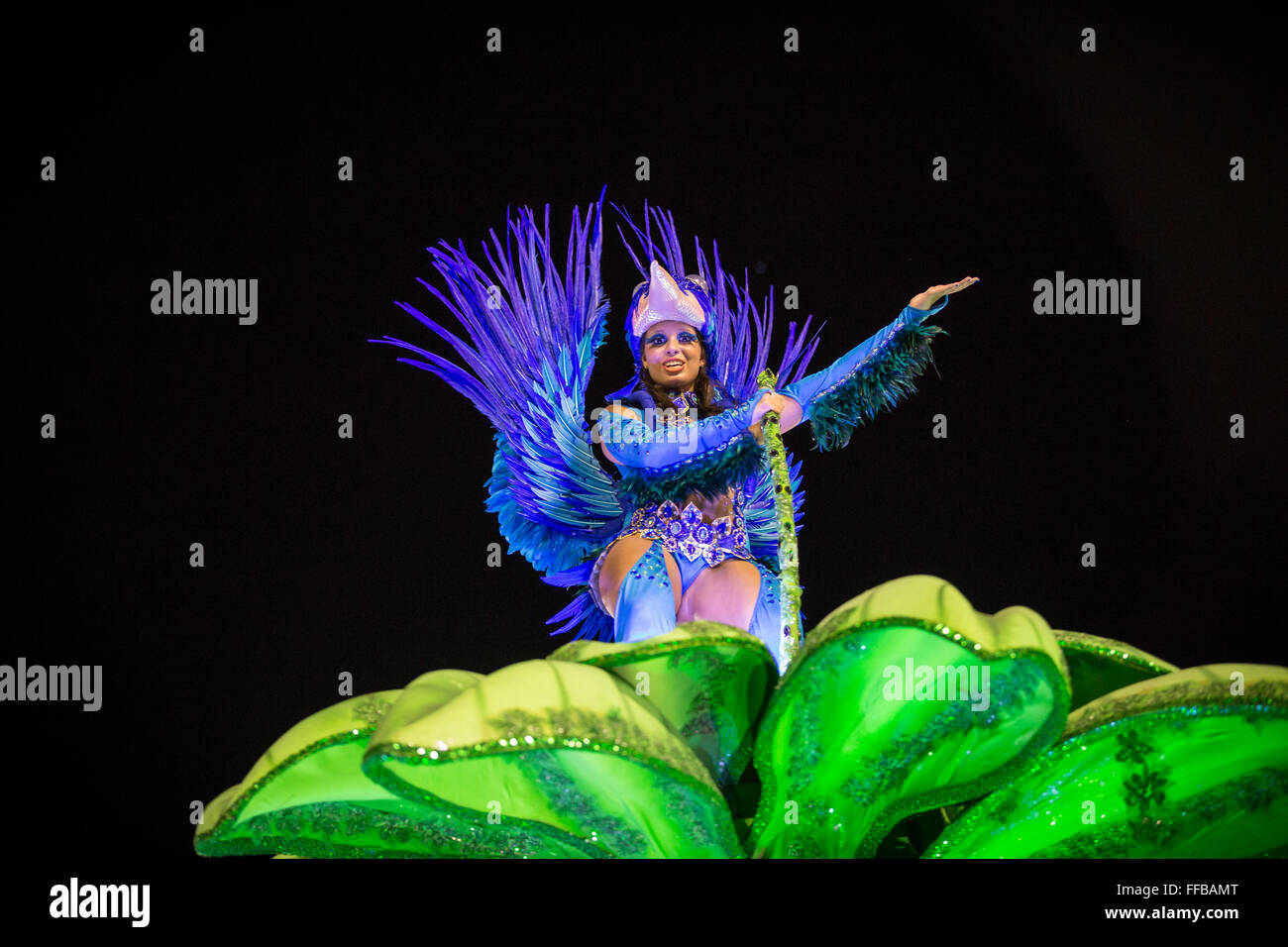 Samba dancers parade in the Sambadrome during the Rio Carnival February ...
