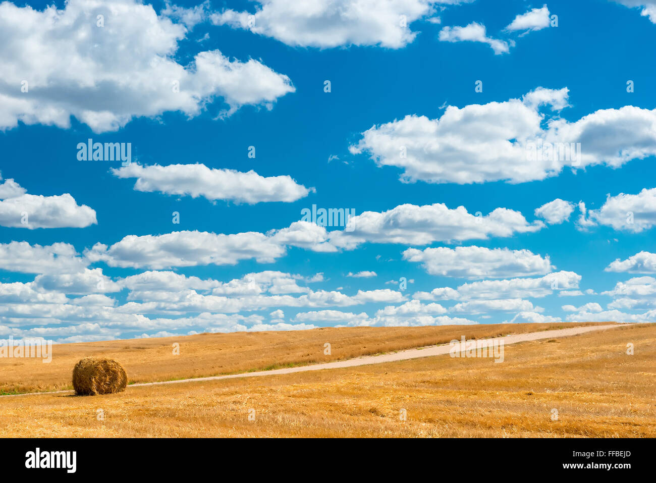 harvested field after harvest cereals cultures Stock Photo