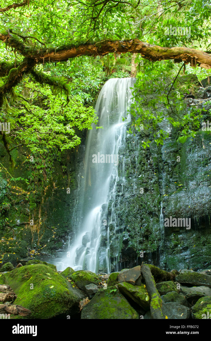 Matai Falls, the Catlins, New Zealand Stock Photo