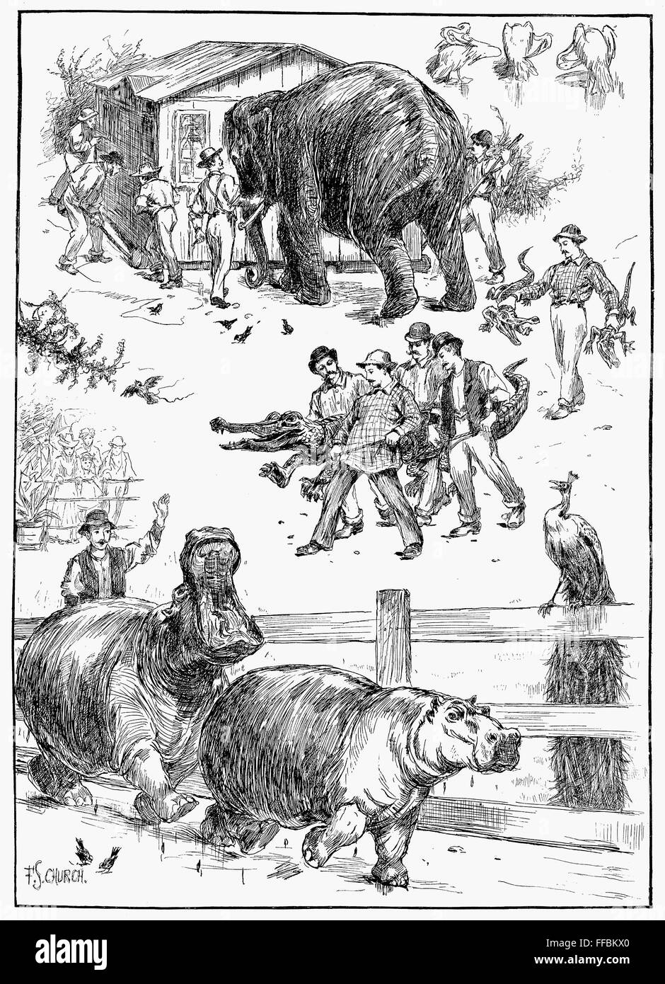 CENTRAL PARK ZOO, 1890. /nMoving animals from winter to summer quarters
