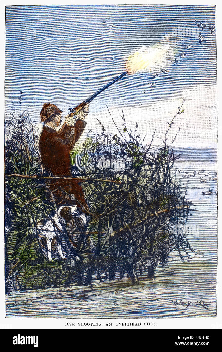 DUCK HUNTING, 1888. /nShooting canvas-back ducks on the Chesapeake Bay. Line engraving, American, 1888. Stock Photo