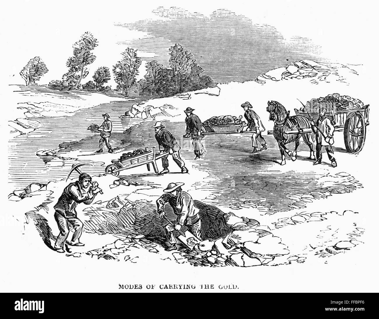 AUSTRALIAN GOLD RUSH, 1852. /nProspectors digging for gold in the Port Phillip district near