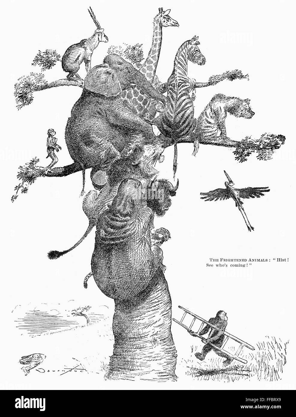TEDDY ROOSEVELT CARTOON. /n'The Frightened Animals 'Hist! See who's