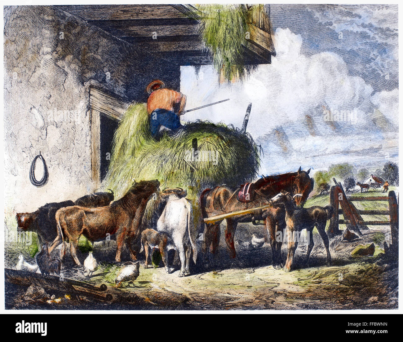 FEEDING LIVESTOCK, 1873. /nA farmer feeding livestock hay. Wood engraving, American, 1873. Stock Photo