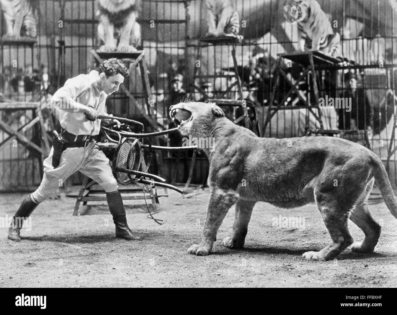 LION TAMER, 1930s. /nThe American animal tamer Clyde Beatty performing