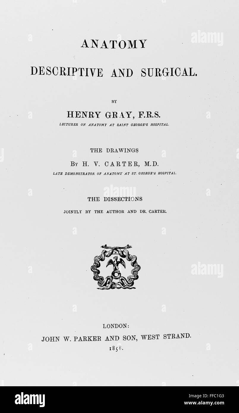 GRAY'S ANATOMY, 1858. /nTitle page of Henry Gray's Anatomy, 1858 Stock
