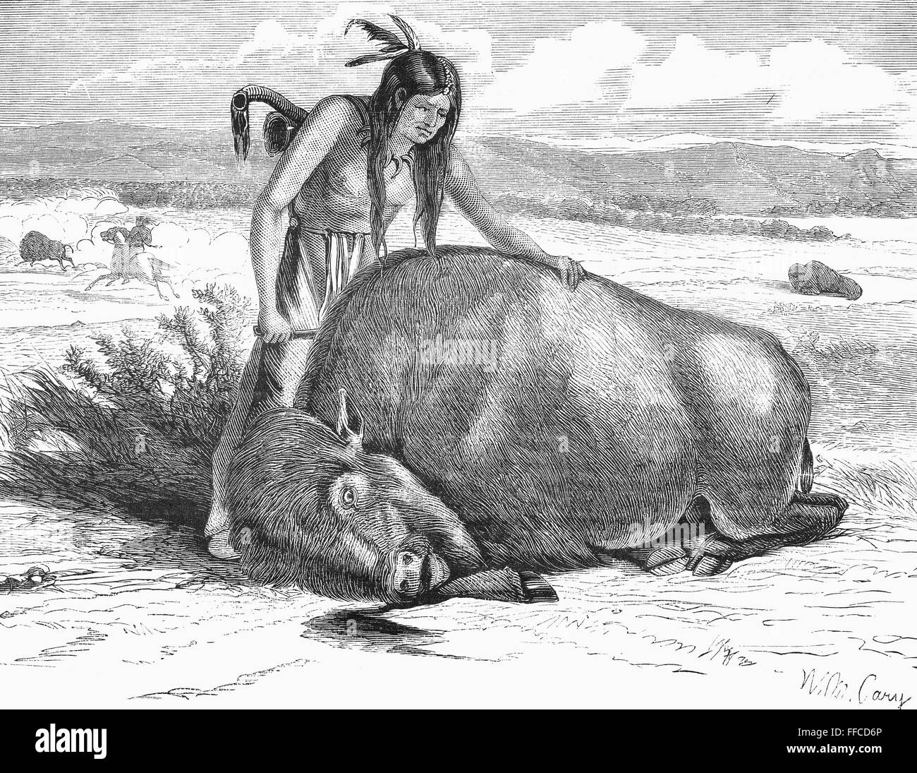 NATIVE AMERIANS CUTTING BUFFALO. /nNative American method of cutting